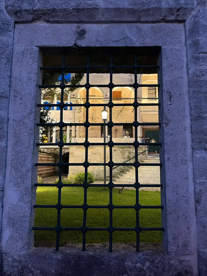 Through the window