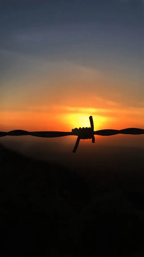 Barbed wire at sunset