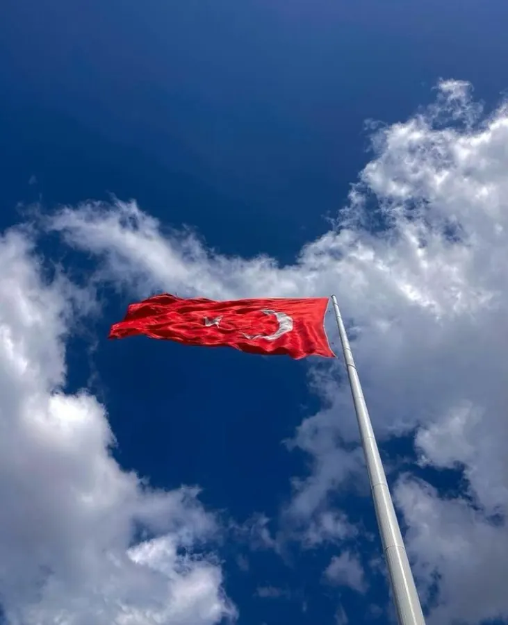 The flag